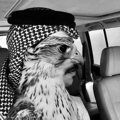 Ignore, not everything deserves attention.       

          ~~ Kuwait🇰🇼