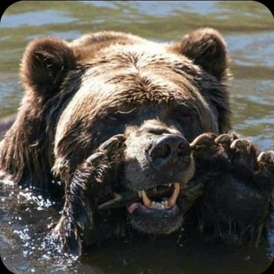 |He/Him| |18| |idiot that does art| |I LOVE BEARS🐻| (@RAbrahym34706 plz help Them)