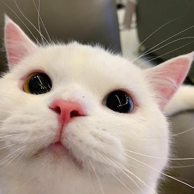 Vertett's profile picture. Me :)