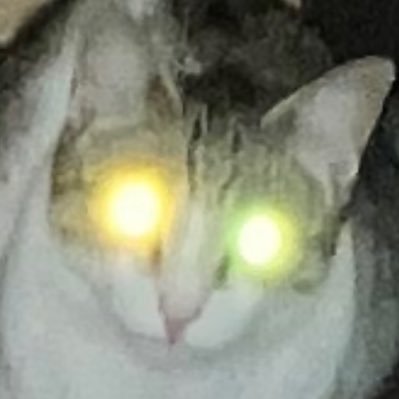Hollowosol's profile picture. Just trading memecoins

Stream every week on twitch and kick.

Twitch : https://t.co/S2FccNFqqp
Kick  : https://t.co/Edef8Bl2oe