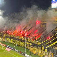 Siemprepeñarol5🌗 (@siempremanya_5) 's Twitter Profile