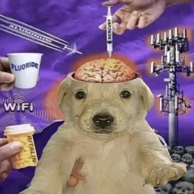 papersnakey's profile picture. im in lesbians with you