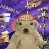 papersnake (@papersnakey) 's Twitter Profile