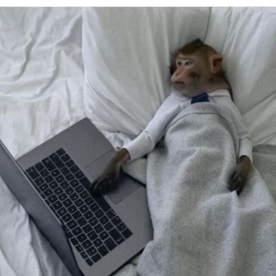 CruiseSyst76073's profile picture. don't give it a gap until you grap it