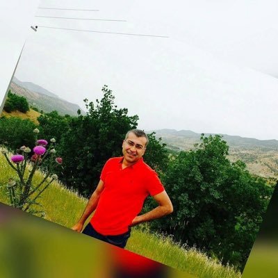 shevuroj's profile picture. Medical Doctor / Cardiologist