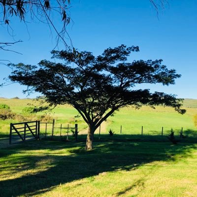 FlamingD43698's profile picture. 