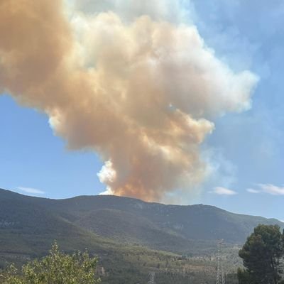 Habitante del planeta. Mis labores varias.
Tec.emerg y P.C y alguna movida más. Los bomberos forestales nunca retrocedemos, damos media vuelta y avanzamos💪🐗💪
