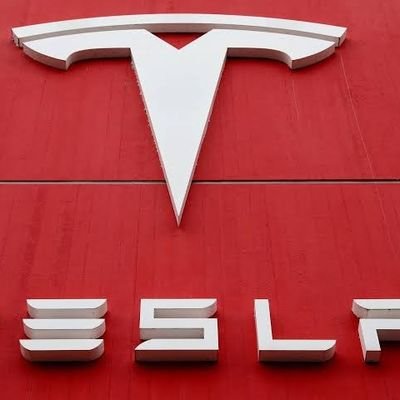 elonreeves585's profile picture. Tesla stock