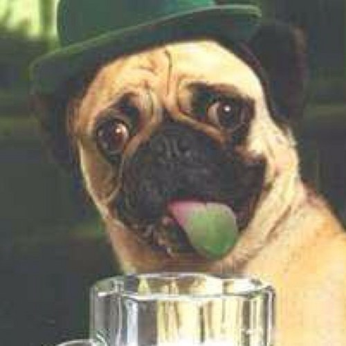 MichaelWalder1's profile picture. 