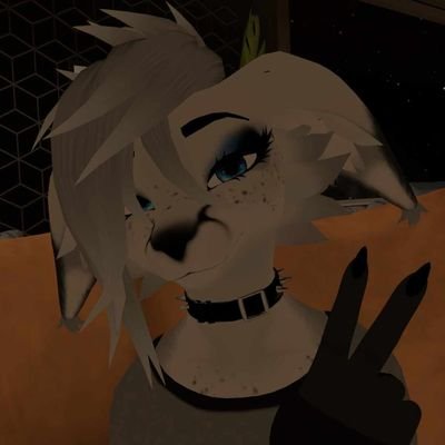Im just a Foxo, NorsePagan/Vore/Sub/Paws/Therian|⨺⃝⋆°🐾˖°⨺⃝⋆°🐾˖°|#Thicc & Cant touch UwU p.s. my DMs load VERY slow VRC:KittoSmith1
