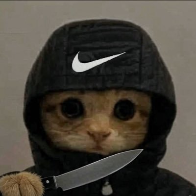 spot_trench's profile picture. I don't care 
Memecoin Enthusiast