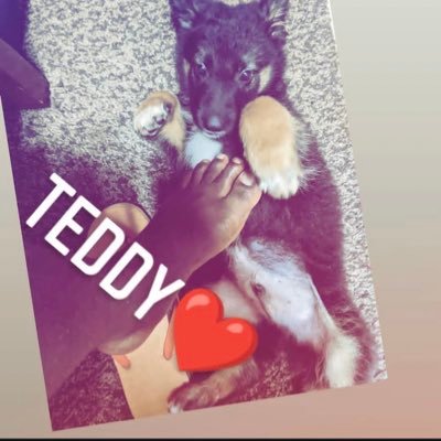 TheKindlistener's profile picture. 