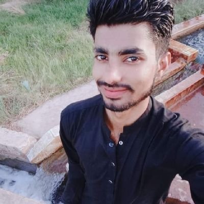 SunnyKz351923's profile picture. 