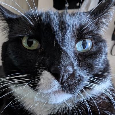 sosam921's profile picture. 