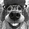 profitierr's profile picture. profitier.sol