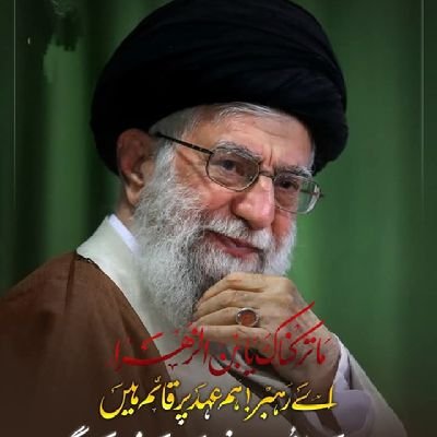 KZ23511's profile picture. 