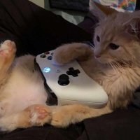 Felix (@nxstysanxd) 's Twitter Profile
