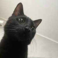 lostie⋆˚。🐜 (@xlostiela) 's Twitter Profile Photo lostie⋆˚。🐜 (@xlostiela) 's Twitter Profile Photo