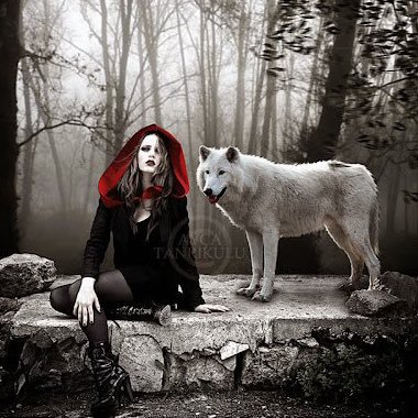 S_sh1n3ell1's profile picture. she had not known the weight untill she felt the freedom