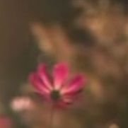 g_3b6's profile picture. يتولاكَ اللهُ 
بينما تظُنُّ أنكَ بمفردِكَ !