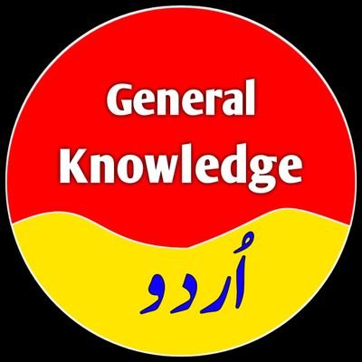 حیران کن حقائق
سائنس اور ٹیکنالوج
صحت کے راز
نفسیاتی حربے
علم کے خزانے
! ابھی فالو کریں ' اور اپنے علم کو چار چاند لگائیں