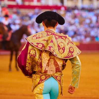Novillero sin picadores de Algeciras.
Alumno de la Escuela Taurina de Málaga.
Se torea como se es.
Instagram: @_elgali