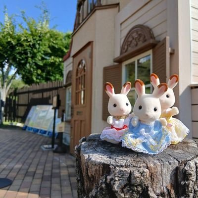 2022年9月 あつ森のためにx始める
2024年4月 セレッソ初観戦、セレッソにはまる
フェスに参加し音楽に目覚める
2024年5月〜 大阪の音楽フェスに行き、Crossfaith、theBONEZ、HEY-SMITHにはまる
2024年10月 たまたま立ち寄った森の家でシルバニアにはまる
無言フォロー失礼します