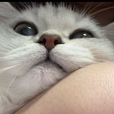 Linda36364's profile picture. 