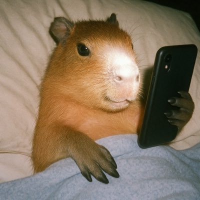 Davidchevz10's profile picture. 