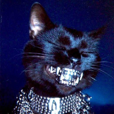 TheCatFather808's profile picture. ⋅⋆⁺ ᖭི8ᖫྀ ⁺⋆⋅