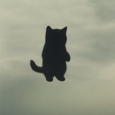 IAMTH3V0ID's profile picture. CA: 2KK4YMi24Tqo6tDn8mzYWkNdGjG3ufdXBjmLv7Fapump
