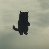VOID (@iamth3v0id) 's Twitter Profile