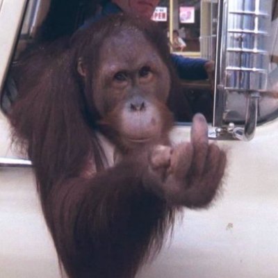 Deegan733's profile picture. 