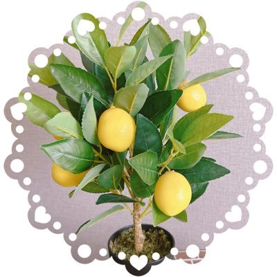 pane_al_limone's profile picture. のんびりおえかき🔰、ちいさな呟き。🧻、😈🛸、EN箱♡🗣️JP/IT、(EN🥲(sorry…))