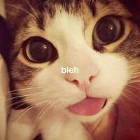 uva verde (@uvasemsementes) 's Twitter Profile