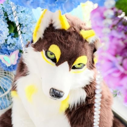 ブラインです!ブラインくんでもちゃんでも好きに呼んでね!20↑だよ!
7/1 @shippocrafts_jpよりお迎えしました!
皆さんよろしくお願いします(*´∀`*)
NEXT→ケモノフォーカス