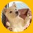 hidemi_tkyBuddy