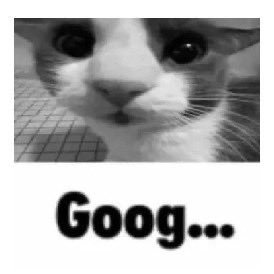 jack_the9999's profile picture. 