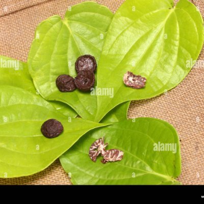 தமிழ் சமூக நீதிப் போராளி
எல்லாரும் ஒரே தாய் பிள்ளைகள்