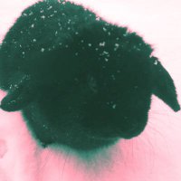 emilie (@emizeru) 's Twitter Profile