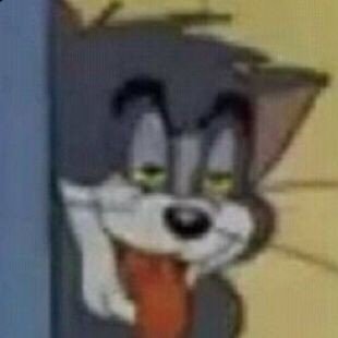 ThinNguyn772161's profile picture. 