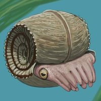 Tropite (@objectfromeons) 's Twitter Profile