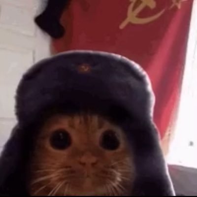 ant21x3's profile picture. coach/manager for @PONI1431136