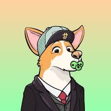 alirizahizkia's profile picture. Web3 curious | Breaking down complex things simply.