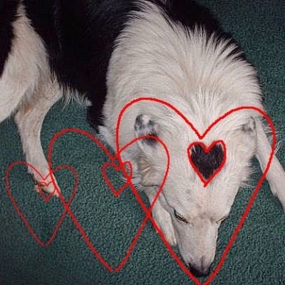 oliveandoranges's profile picture. he/him 20