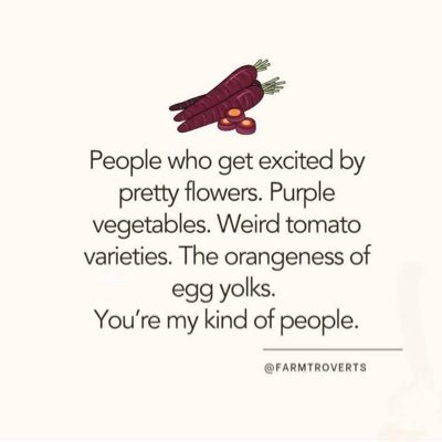 tchrbarbie65's profile picture. 