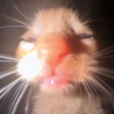 RahimRihan12628's profile picture. 