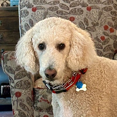 MarkBabin922327's profile picture. Retired, Patriot.