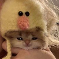 Victor☆I！inactivo aveces l (@victorevan_78) 's Twitter Profile Photo