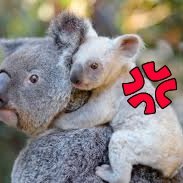 phil_hobbs's profile picture. 